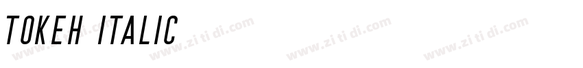 Tokeh Italic字体转换